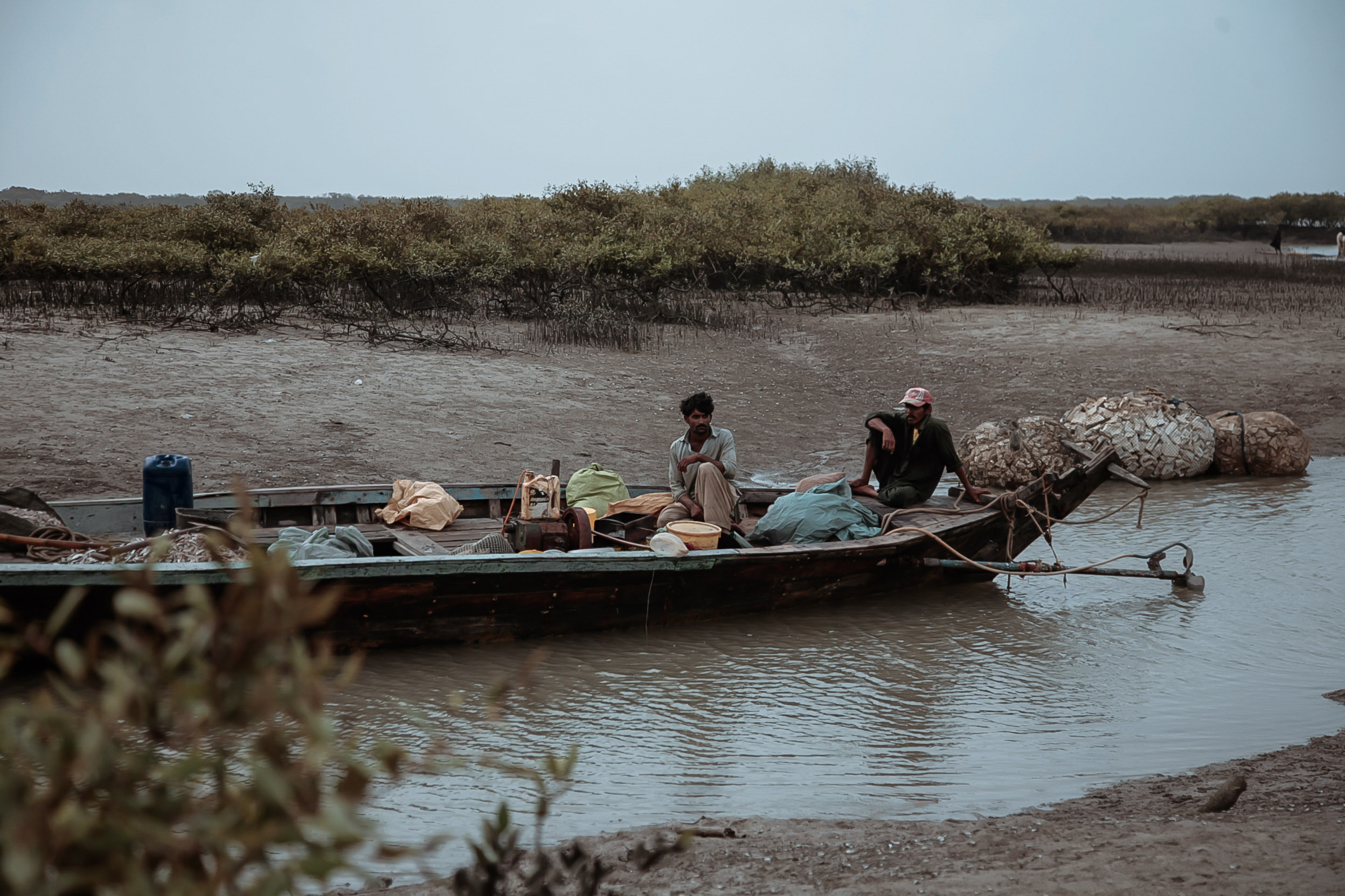 2012-05-mangrove-plantations-binqasim.jpg