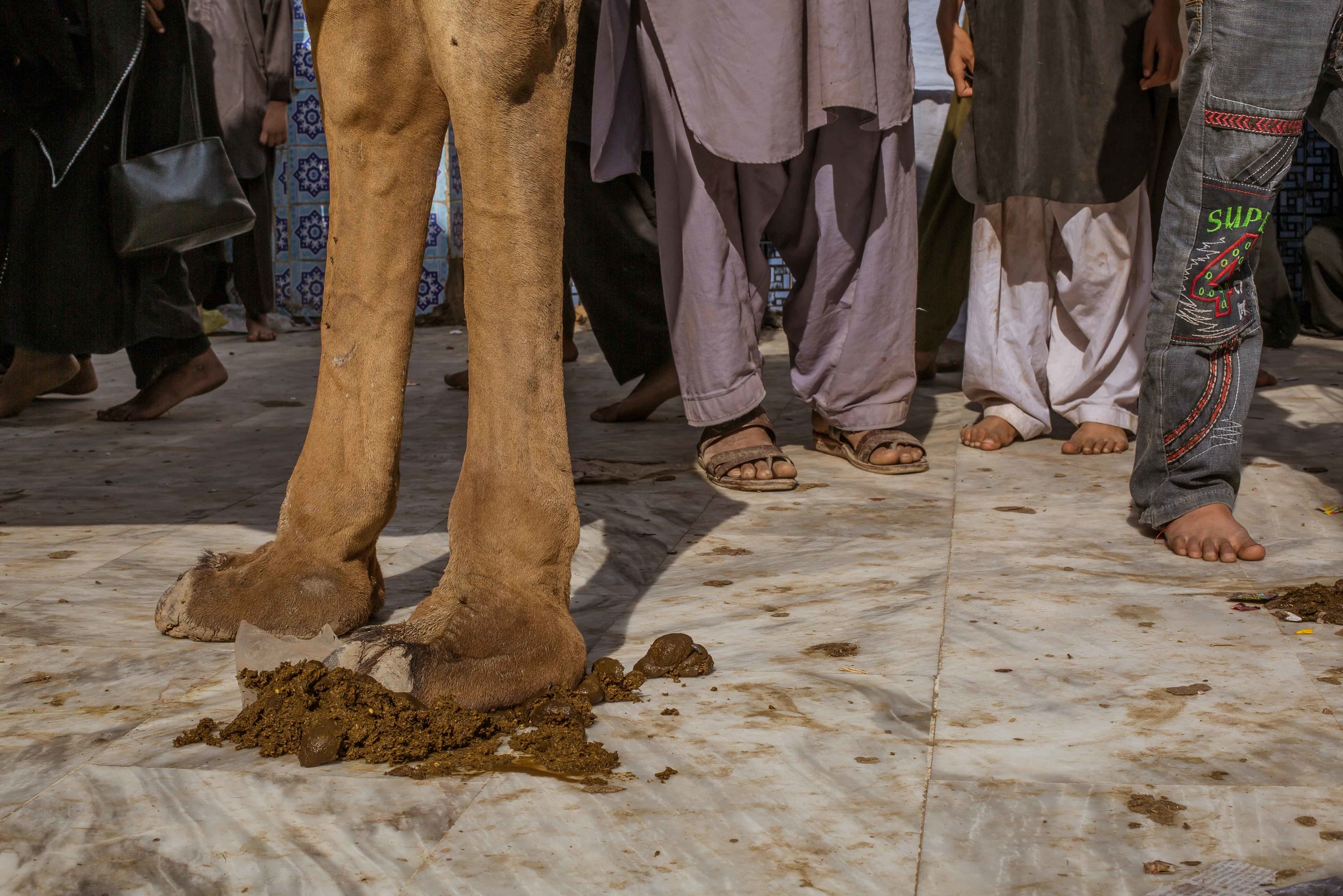 2016-Sehwan-End-of-Moharram-381.jpg